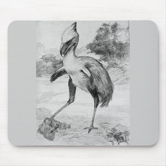 Tapis de souris de Phororhacos Terrorbird (Devant)