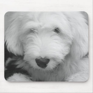 Tapis de souris de photo de chien de moutons