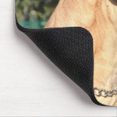 Tapis de souris de photo de great dane (Coin)