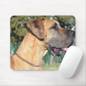 Tapis de souris de photo de great dane (Avec souris)