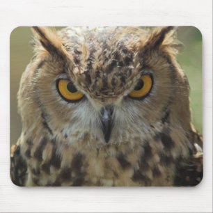 Tapis de souris de photo de hibou