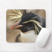 Tapis de souris de pingouin de Rockhopper (Avec souris)