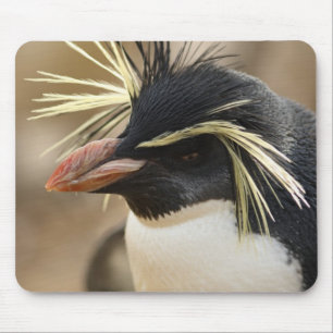 Tapis de souris de pingouin de Rockhopper