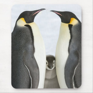 Tapis de souris de pingouins d'empereur