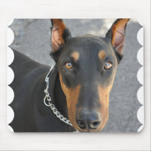 Tapis de souris de Pinscher de dobermann