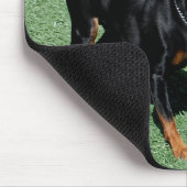 Tapis de souris de Pinscher miniature (Coin)