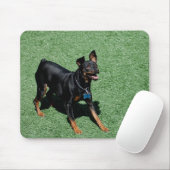 Tapis de souris de Pinscher miniature (Avec souris)