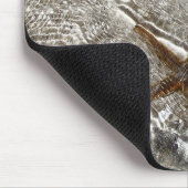 Tapis de souris de poissons d'étoile (Coin)