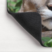 Tapis de souris de prédateur de puma (Coin)
