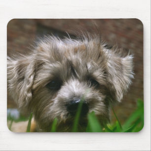 Tapis de souris de Pupppy