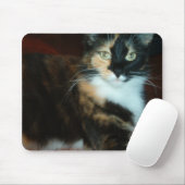 Tapis de souris de qualité de Mlle Calico Kitty (Avec souris)