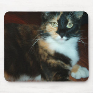 Tapis de souris de qualité de Mlle Calico Kitty