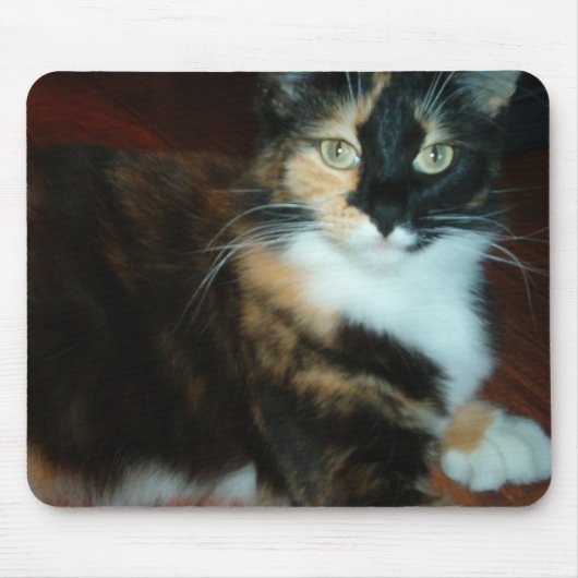 Tapis de souris de qualité de Mlle Calico Kitty (Devant)