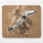 Tapis de souris de regard fixe de girafe (Devant)