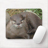 Tapis de souris de repos de loutre (Avec souris)