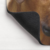 Tapis de souris de Rhodesian Ridgeback (Coin)