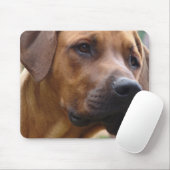 Tapis de souris de Rhodesian Ridgeback (Avec souris)