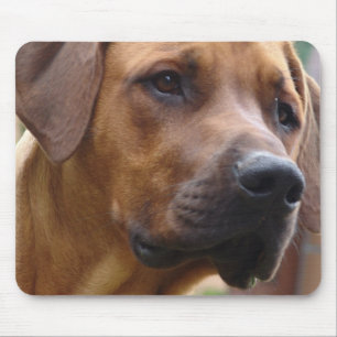 Tapis de souris de Rhodesian Ridgeback