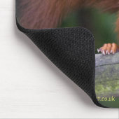 Tapis de souris de rouge de bébé (Coin)