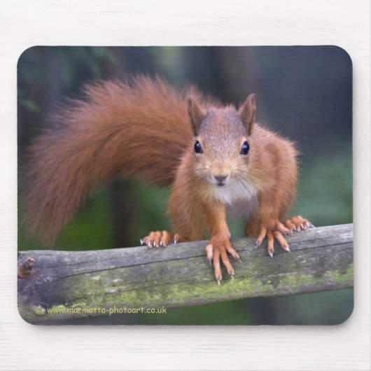 Tapis de souris de rouge de bébé (Devant)