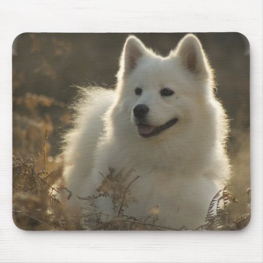 Tapis de souris de Samoyed (Devant)