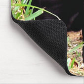 Tapis de souris de Shar-pei (Coin)