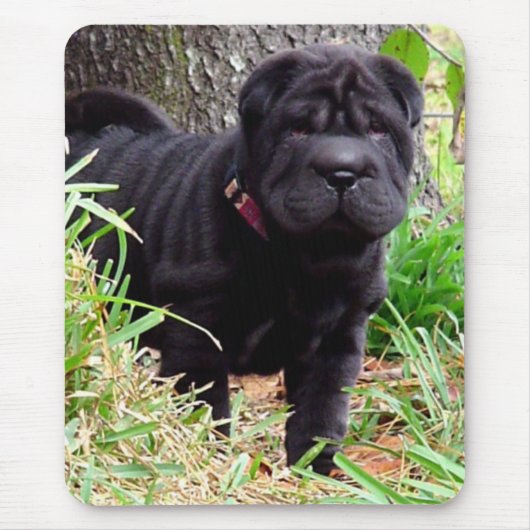 Tapis de souris de Shar-pei (Devant)