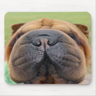 Tapis de souris de Shar-pei