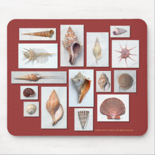 Tapis de souris de Shell de mer
