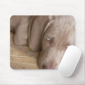 Tapis de souris de sommeil Weimaraner (Avec souris)