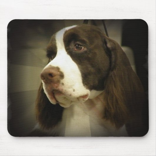 Tapis de souris de springer spaniel (Devant)