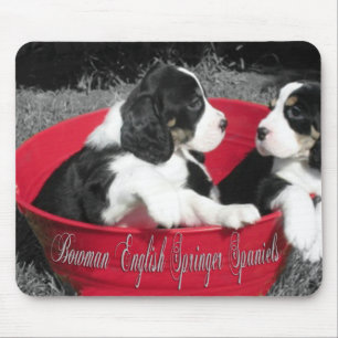 Tapis de souris de springer spaniel