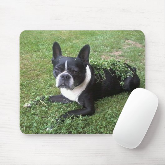 Tapis de souris de terrier de Boston (Avec souris)