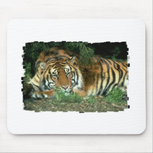 Tapis de souris de tigre de Bengale