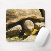 Tapis de souris de tortue (Avec souris)
