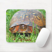 Tapis de souris de tortue de boîte (Avec souris)
