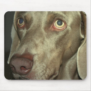 Tapis de souris de Weimeraner d'amour