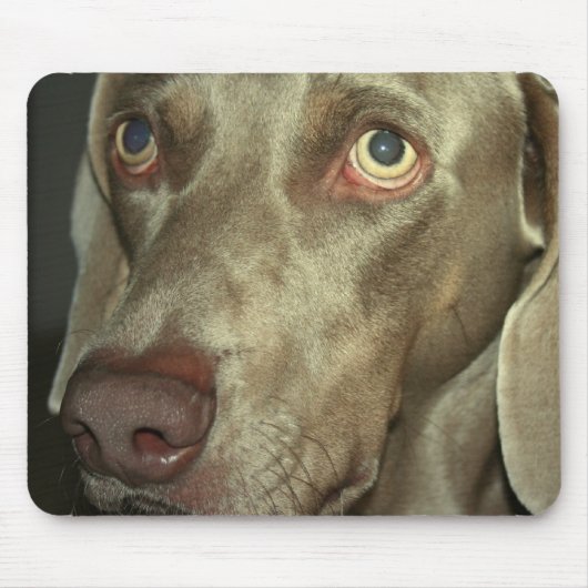 Tapis de souris de Weimeraner d'amour (Devant)