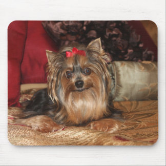 Tapis de souris de Yorkie