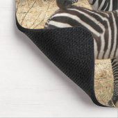 Tapis de souris de zèbre de mère et de bébé (Coin)