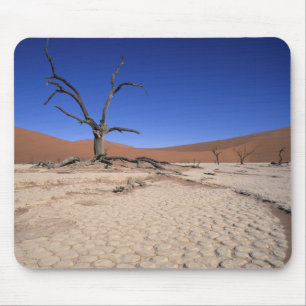 Tapis De Souris Dead Vlei, Sossusvlei, Parc national de Namib-Nauk