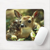 Tapis De Souris Deer Fawn (Avec souris)