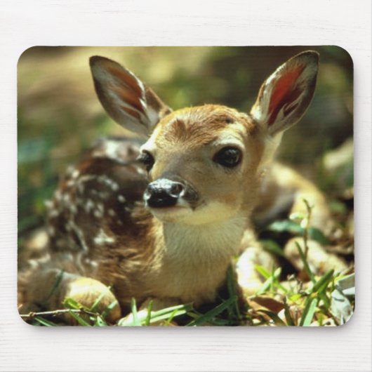 Tapis De Souris Deer Fawn (Devant)