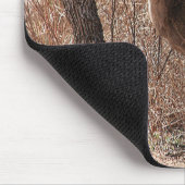 Tapis De Souris Deer Stare (Coin)