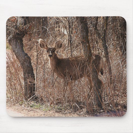 Tapis De Souris Deer Stare (Devant)