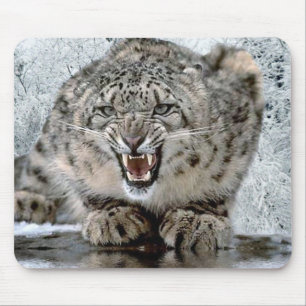 Tapis De Souris Dégagez !