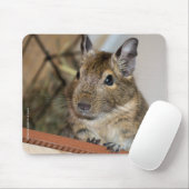 Tapis De Souris Degu mignon (Avec souris)