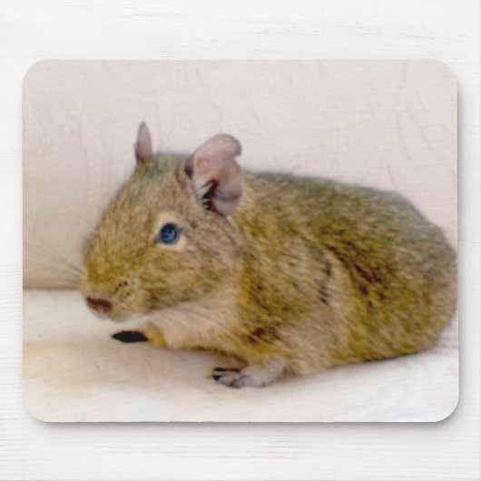 Tapis De Souris Degu Mousepad (Devant)