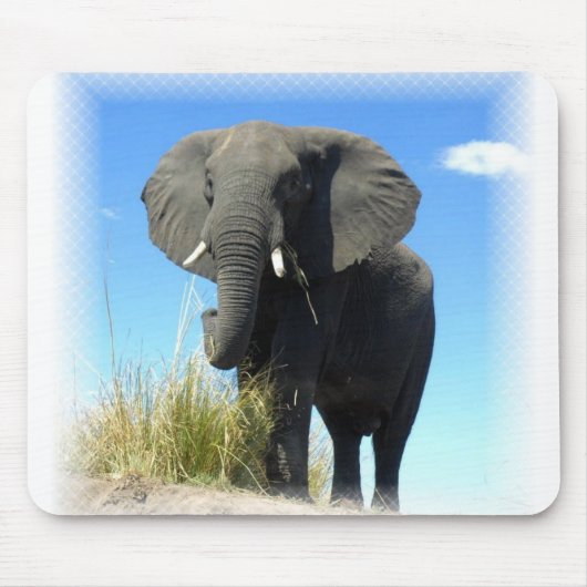 Tapis de souris d'éléphant africain (Devant)