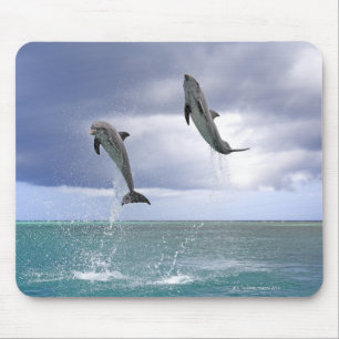 Tapis De Souris Delfin, Delphin, Grosser Tuemmler, Tursiops 2
